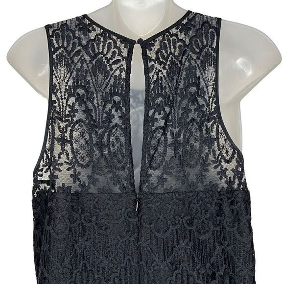 JOIE Lace Sleeveless Shift Fahfia B Dress, Black, Medium - Picture 9 of 12